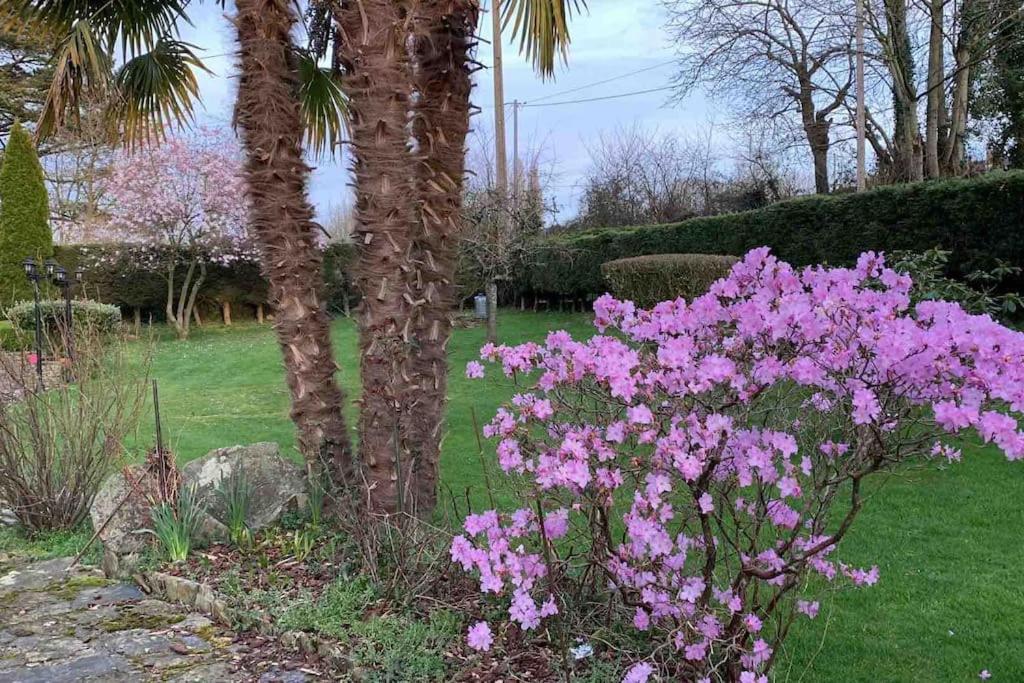 Le Nalousie Villa Livry  Bagian luar foto